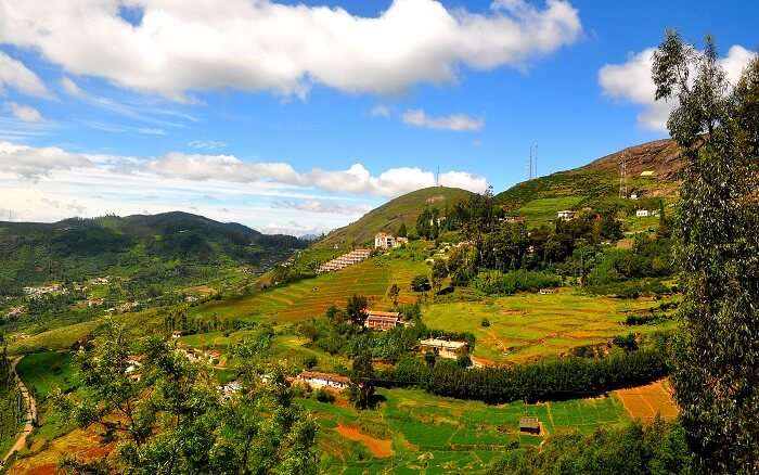 Ooty- places to visit in tamil nadu