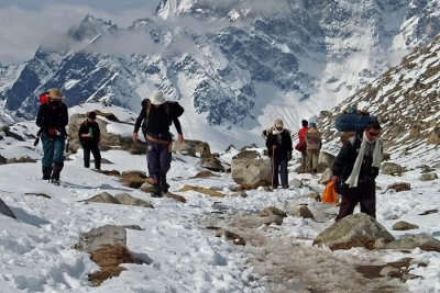 indulge in Dzongri Winter Trek