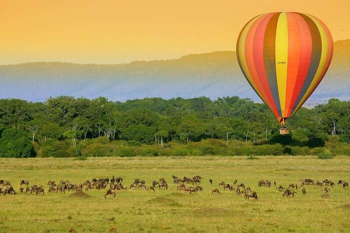 go hot air ballooning in Kafue National Park