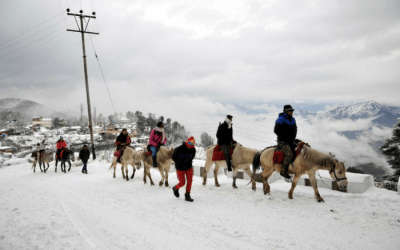 People on their way to Kufri, one of the nearby places to visit in Shimla in December