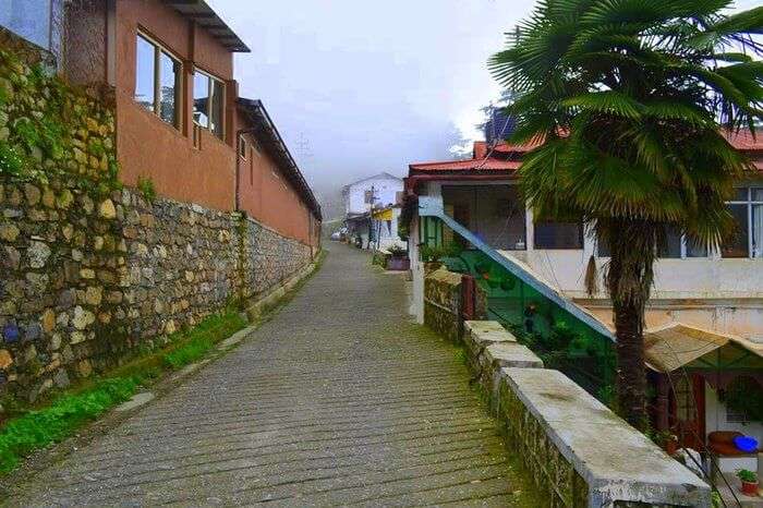 a view of sisters bazaar in Landour in Mussoorie