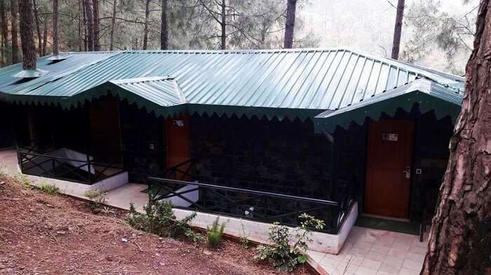 Kasauli Hills Resort