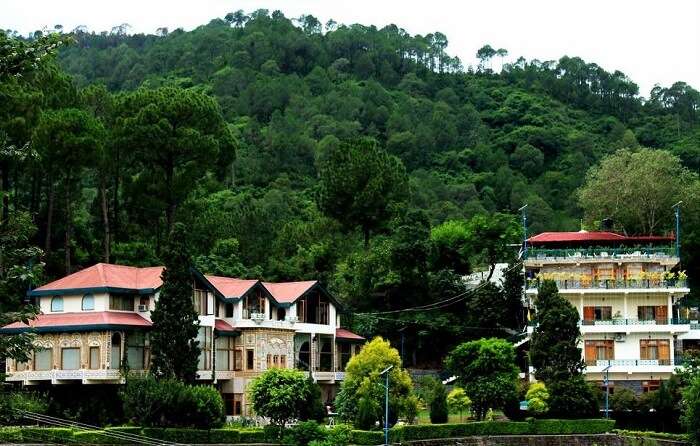 Alcor Spa Resort, Kasauli