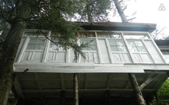 A beautiful Finnish Cottage perched at the top of a tree in Shimla 