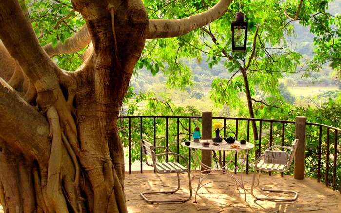 A dining setup in the The Den Corbett Treehouse in Ramnagar
