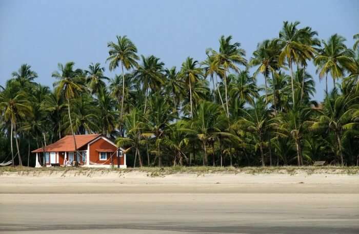 he tropical haven
