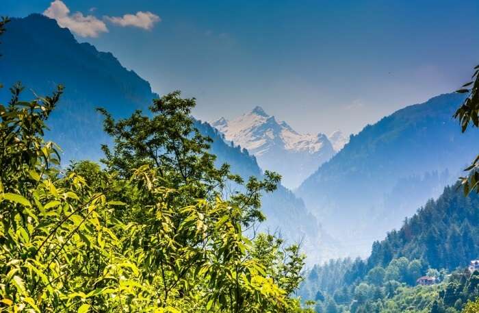 Shimla hills View