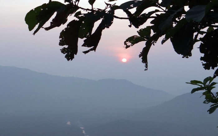 Sunset behind leaves in mountains