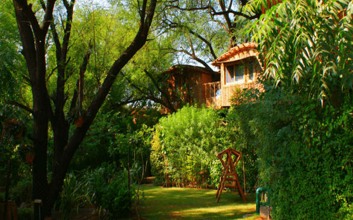 Treehouse cottages of Treehouse Jaipur in Rajasthan 