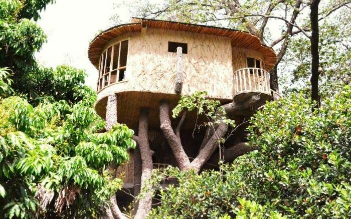 Treehouse view in the Den Corbett in Ramnagar 