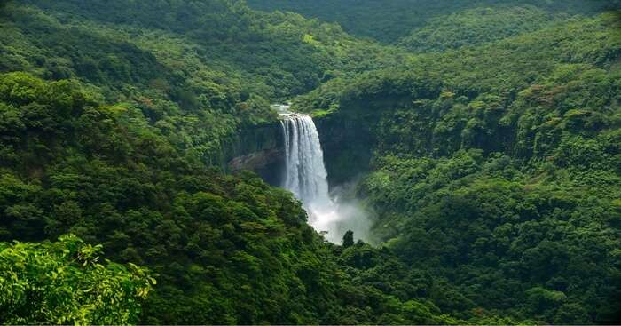 10 Waterfalls In Goa To Visit In 2020 From Popular To Offbeat Ones