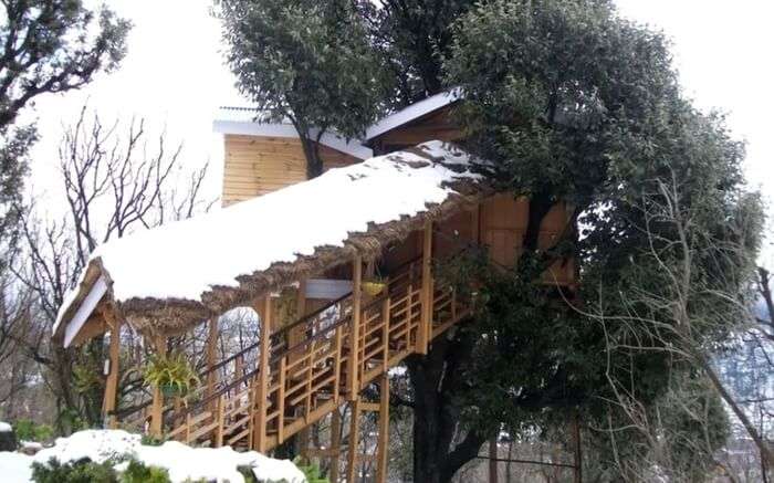 A view of Treehouse Cottage in Manali