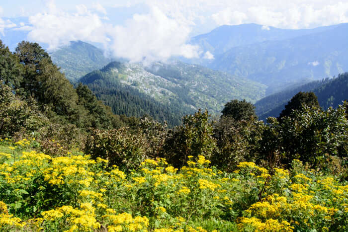 Outstanding Hatu Peak