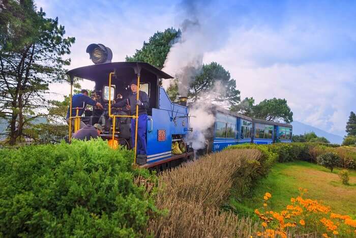 darjeeling tour in december