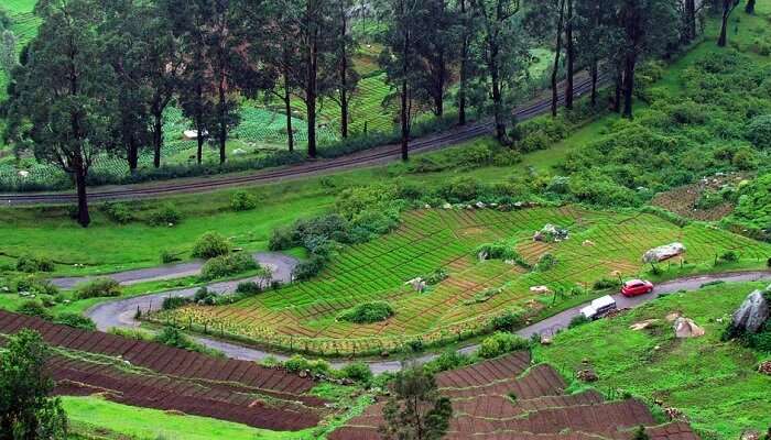 Ooty is one of the scenic places to visit in India during Christmas
