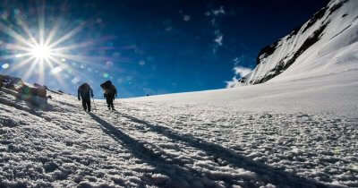 shadows of two trekker on snow covered trails