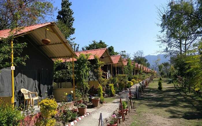 tents in the hills of chakrata