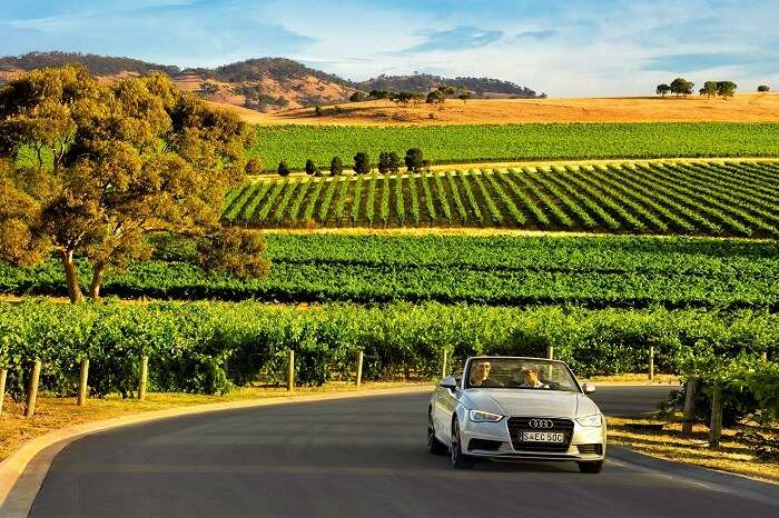 Driving in Barossa valley