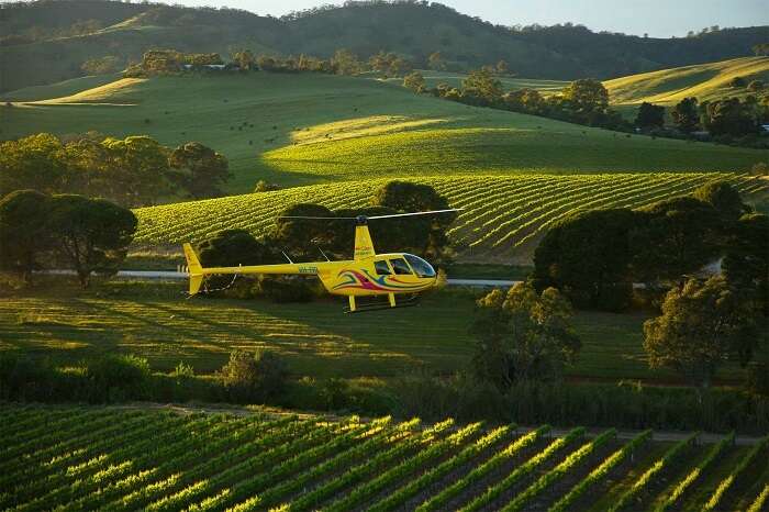 Helicopter ride in Barossa