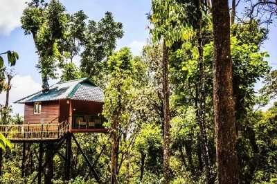 Tree houses in Kerala