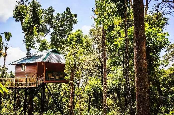 15 Tree Houses In Kerala For A Perfect Date With Nature