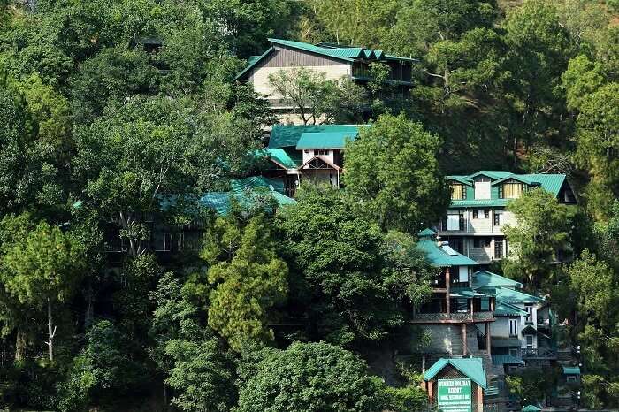 Winnies Holiday Resort, Kasauli