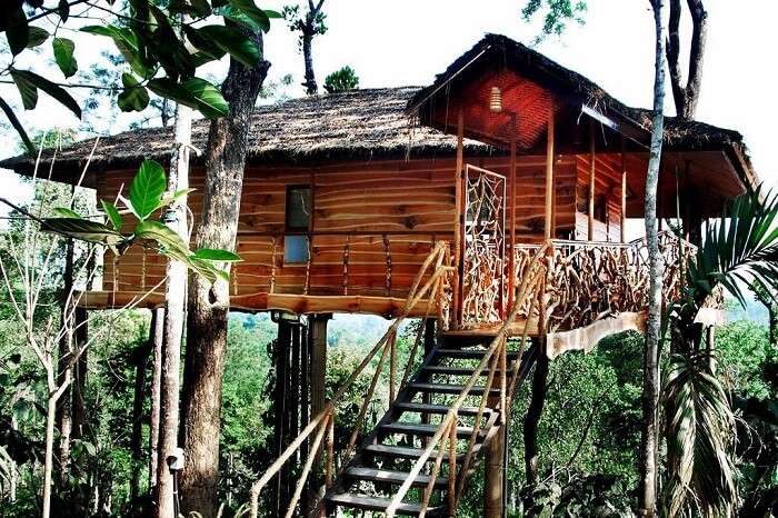 tree houses in Kerala