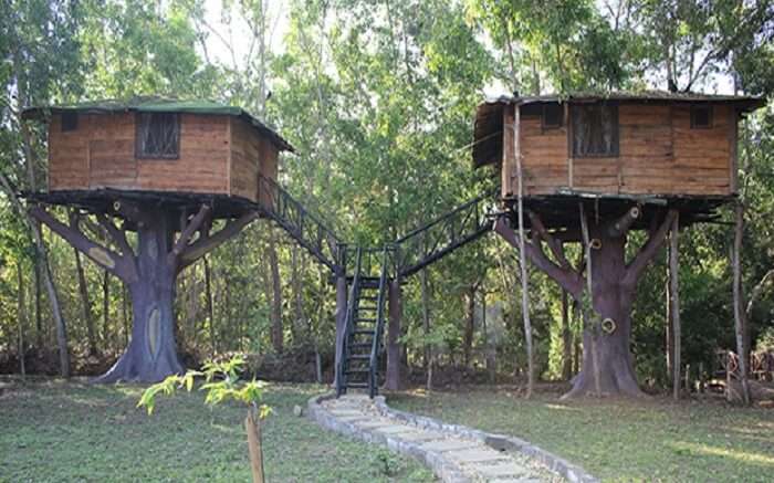 10 Dandeli Resorts For That Dreamy Stay Amidst Woods