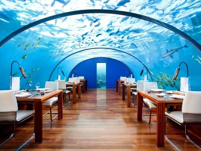 5 restaurantes sub-marinos en Maldivas! - Viajar a las Islas Maldivas - Forum Indian Subcontinent: India and Nepal