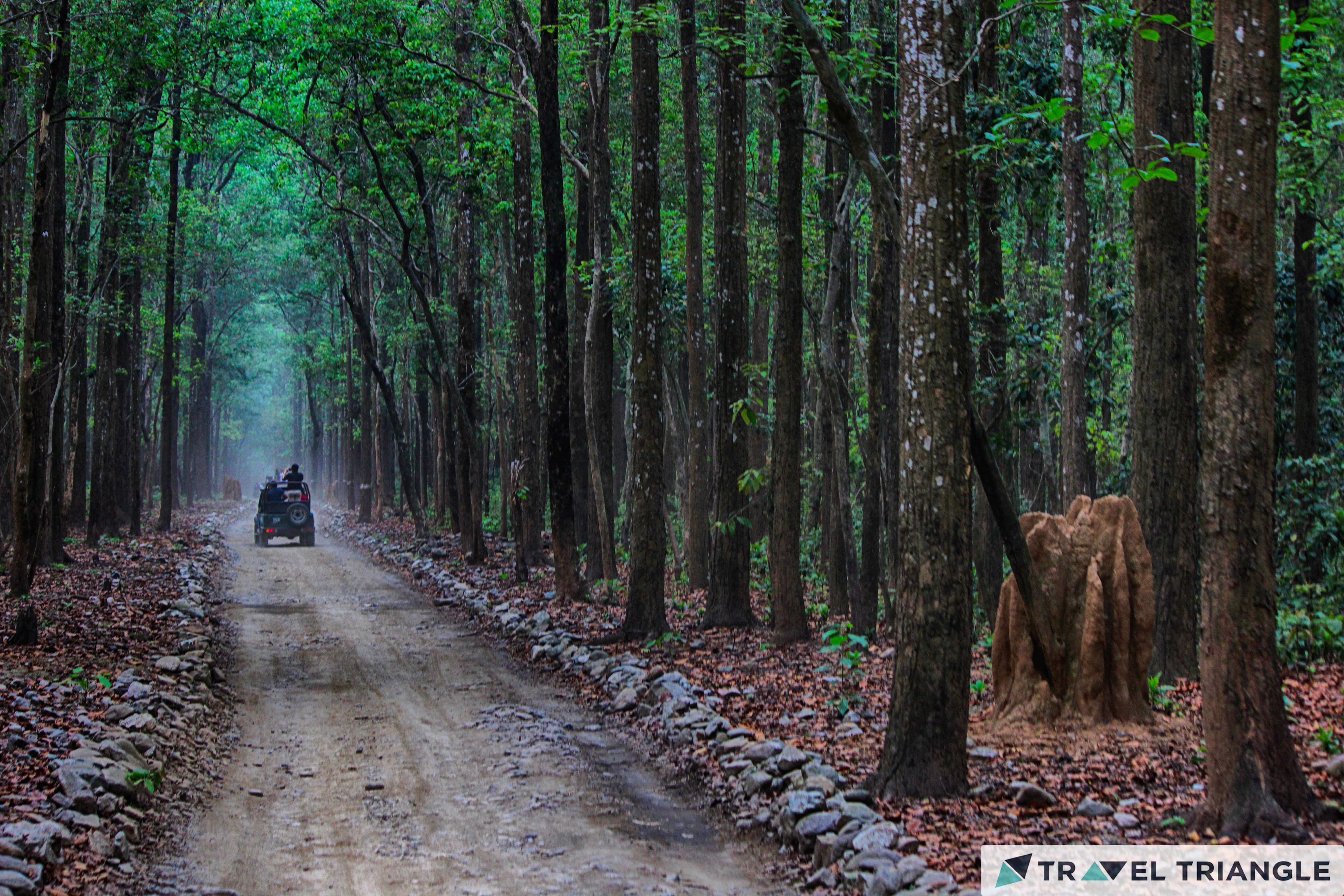jim corbett trail