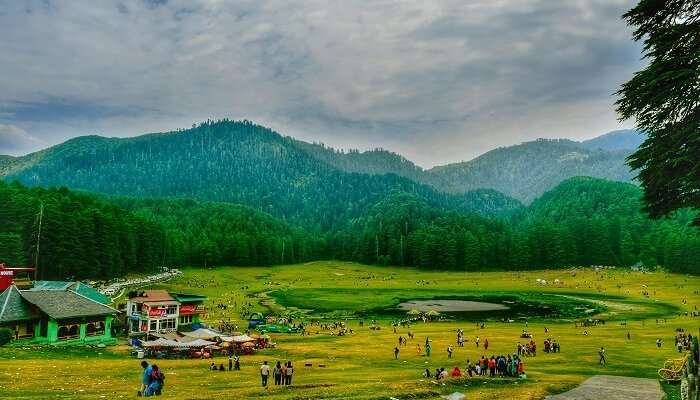 Khajjiar ground surrounded by tall deodar trees 