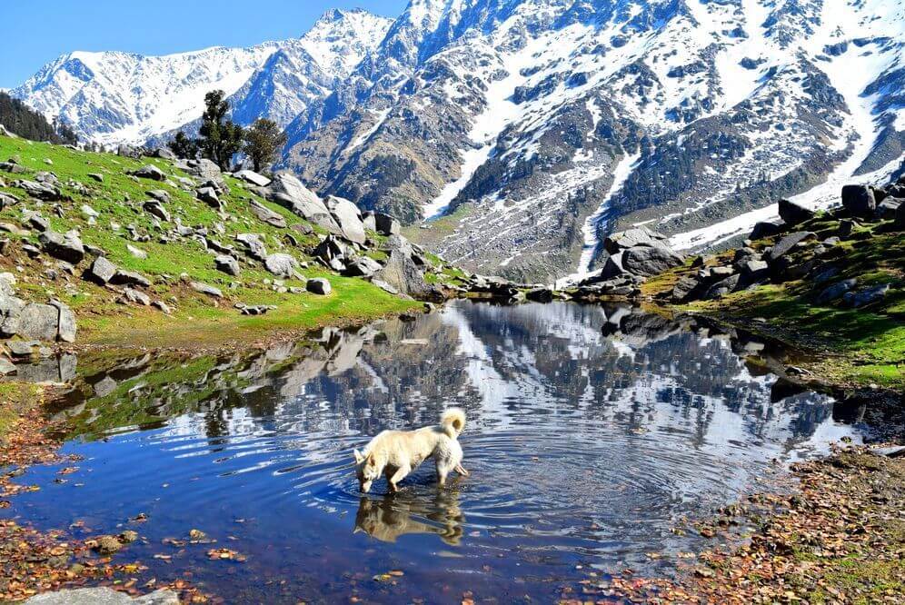 Snow Winter Trek To Triund In December