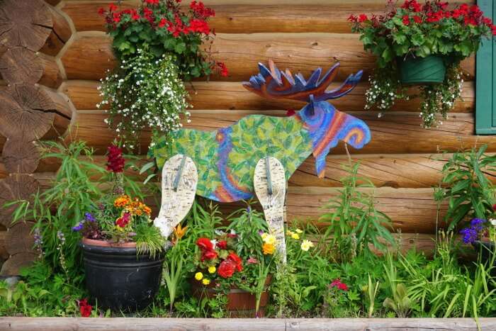 explore amazing culture of Talkeetna