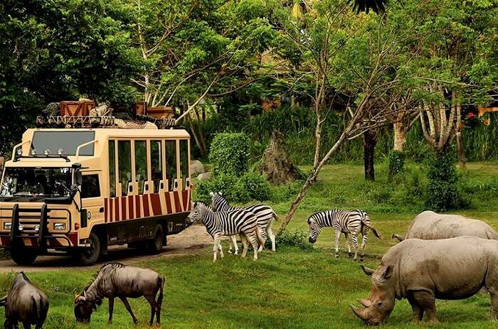 safari and marine park bali