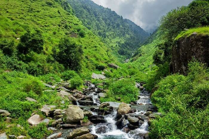 Ca,lm your senses at Mcleodganj which is one of the best places to visit in India in June