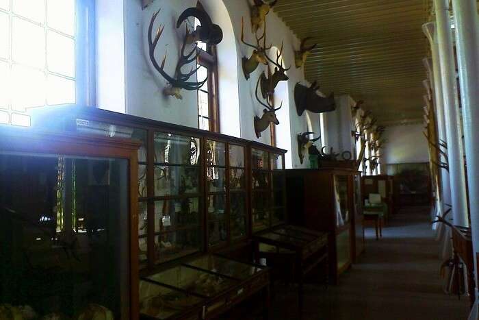 Gass Forest Museum Coimbatore