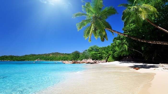 tropical beaches