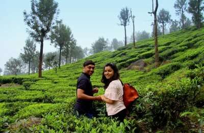 couple in tea gardens kerala