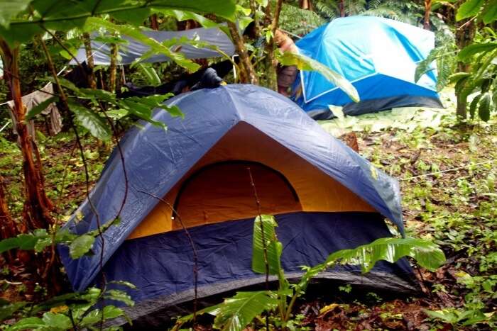 Feel The Thrill Of Jungle Camping