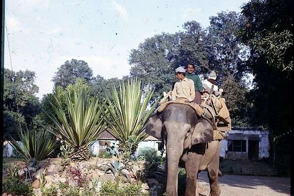 Flora And Fauna Of Dudhwa National Park