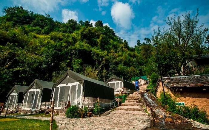 The beautiful camps of Hail Himalayas in Shoghi in Shimla ss16112017