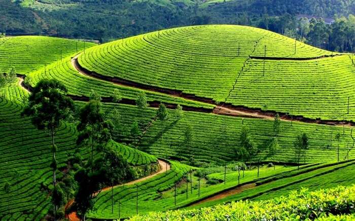 Vast landscapes and fascinating beauty of the Nilgiri Hills Ooty