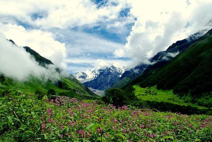 valley of flowers uttarakhand which is one of the best places to visit in India in June
