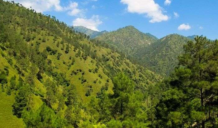 View of Green valley Shimla