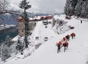 An awe-inspiring view of snowfall in Shimla