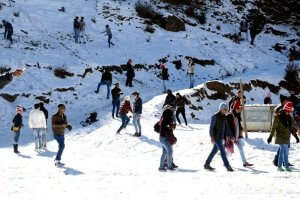 Shimla is the best place to enjoy winter sports