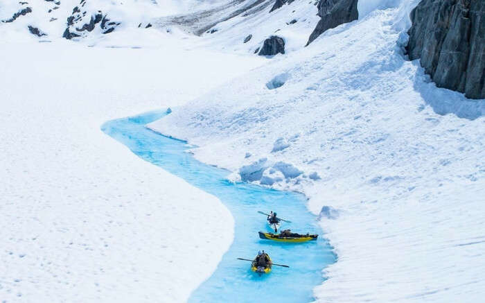 Travelers kayaking in a lake in glacier in Canada