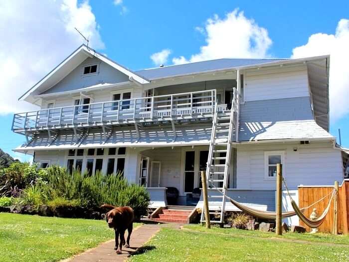 Bamber House Hostel Auckland