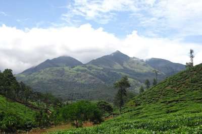 Wayanad is one of the tourist places in South India during summer to witness scenic views