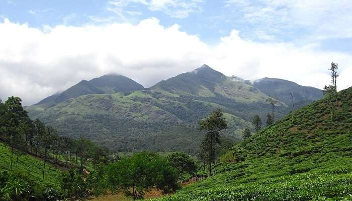 Wayanad is one of the tourist places in South India during summer to witness scenic views